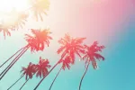as 10 + | Primavera- verão 2023 - prepare sua loja!